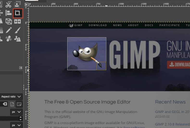                        GIMP        
