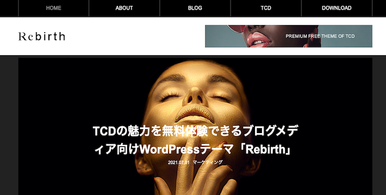 WordPress Theme Rebirth