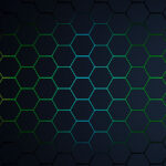 link network
