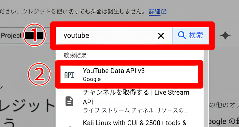 WP YouTube Lyteの使い方2_5