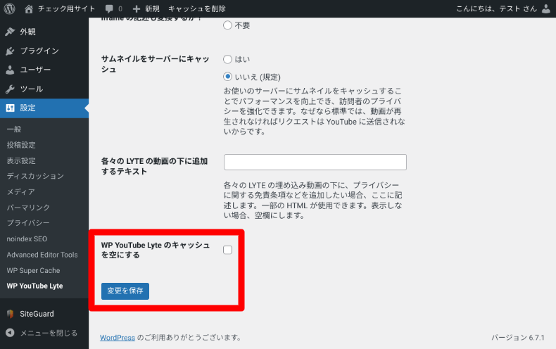 WP YouTube Lyteの使い方3_3