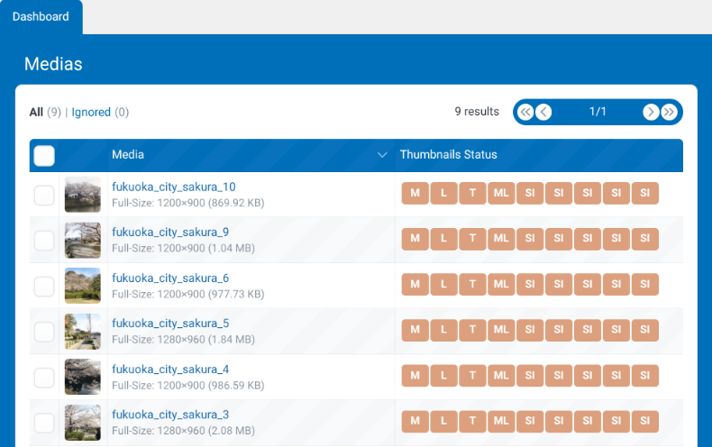 Perfect Imagesの使い方3