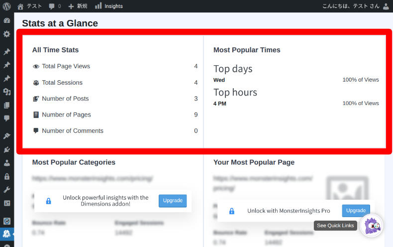 MonsterInsightsのレポート3