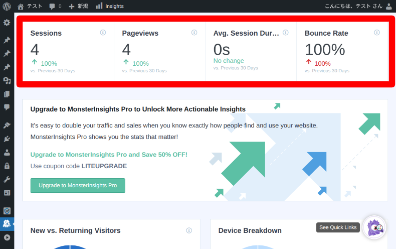 MonsterInsightsのレポート4