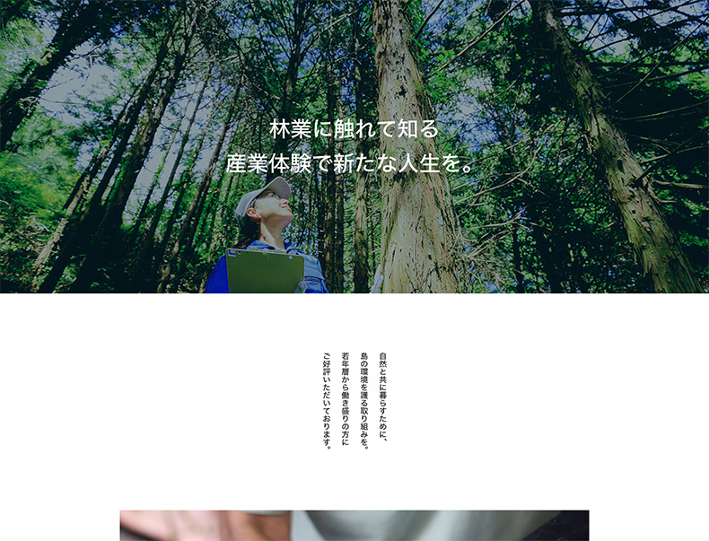 VOYAGEの固定ページテンプレート「ランディングページ」