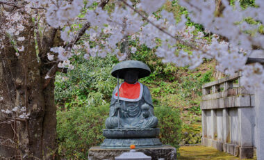 元僧侶が語るお寺の参拝者数を増やすSNS活用術【TikTok運用編】